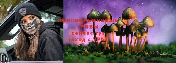 бошки Медвежьегорск