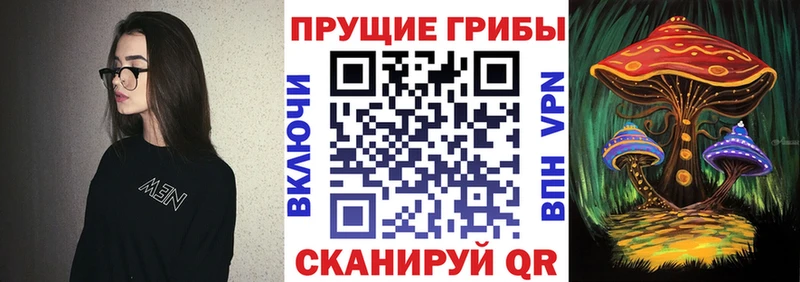 Галлюциногенные грибы Psilocybe  купить  цена  Юрьев-Польский 